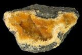 Intense Orange Calcite Crystal Cluster - Poland #148338-1